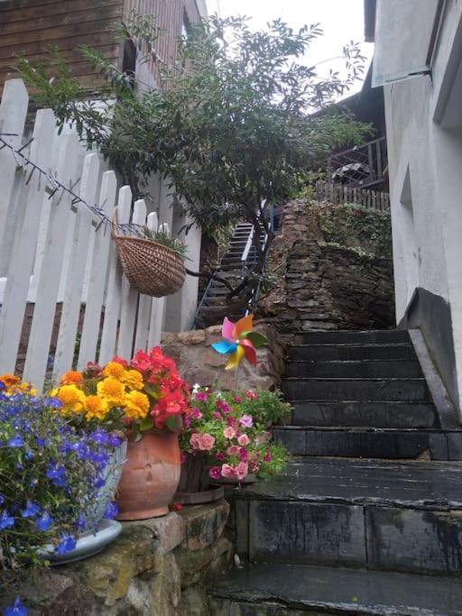 100 Stufen Ueber Dem Rhein Oberwesel
